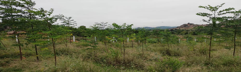 Sri Sai Suman Developers